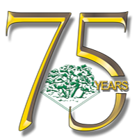 75 logo
